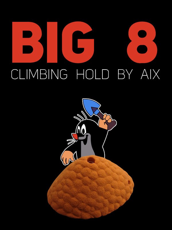 Big 8