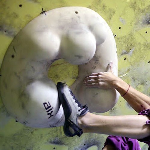 Element 3 Donut PU 6