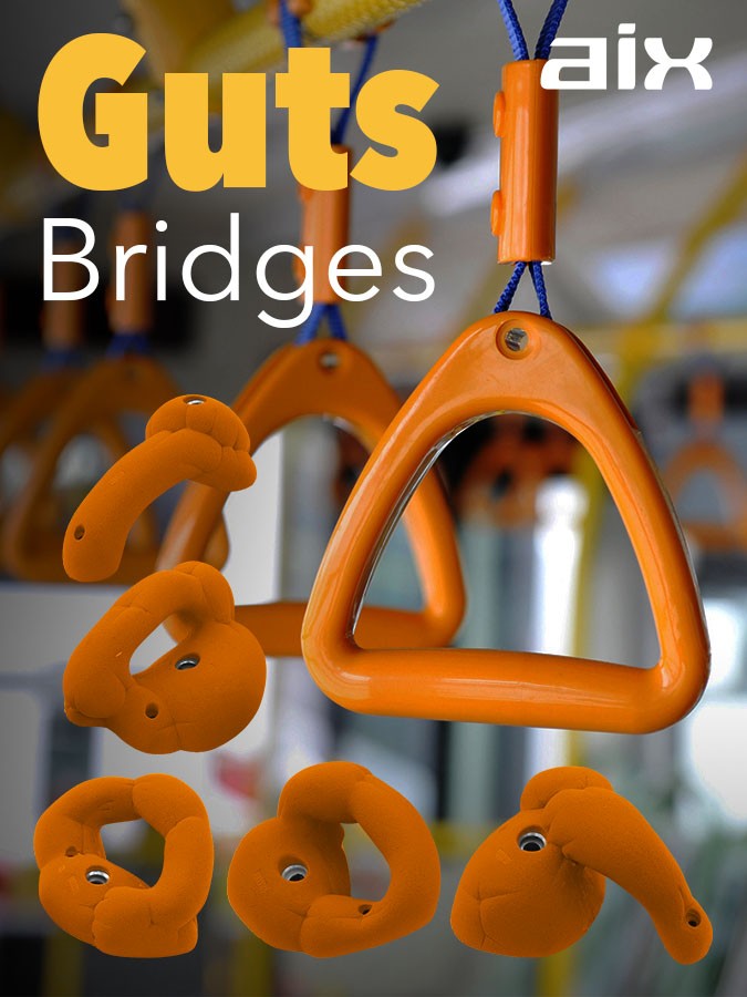 Guts Bridges