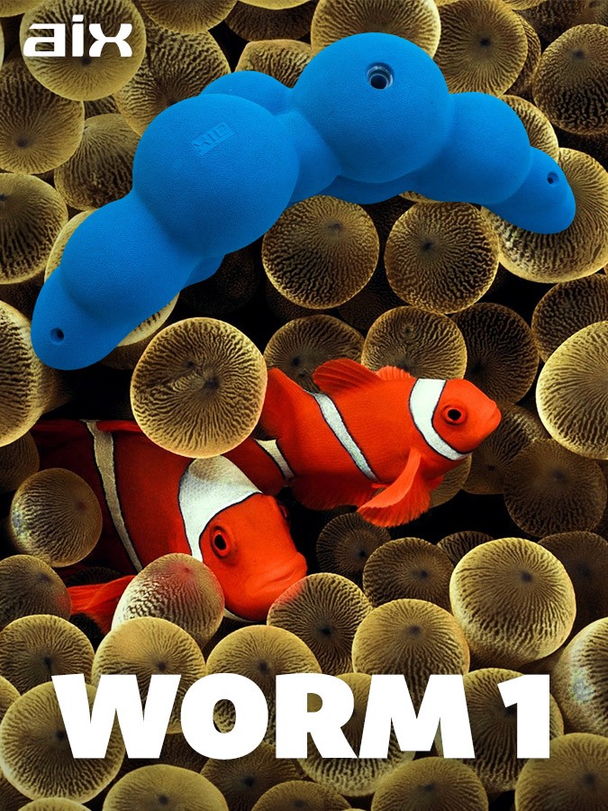 Worm 1