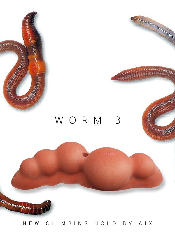 Worm 3